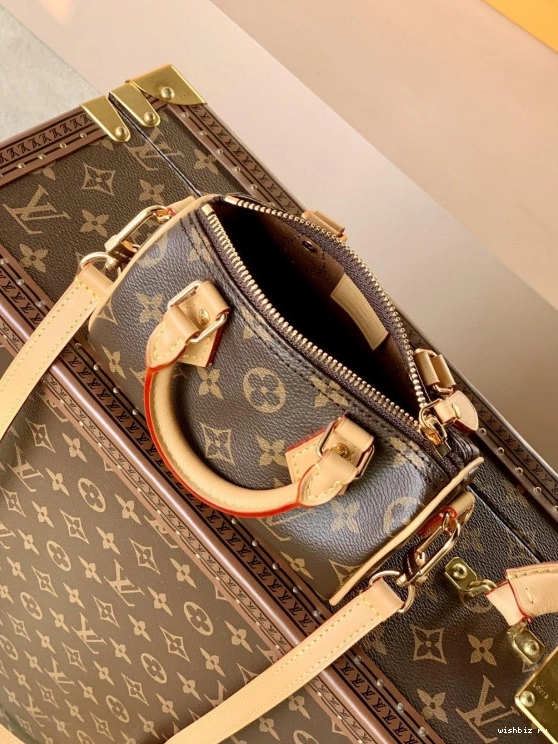 WIS VUITTON NANO LOUIS SPEEDY 0906
